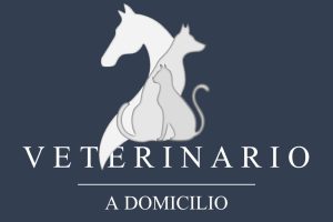 tarjeta veterinario a domicilio - copia